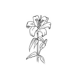 Dibujo para colorear: Ramo de flores (Naturaleza) #160844 - Dibujos para Colorear e Imprimir Gratis