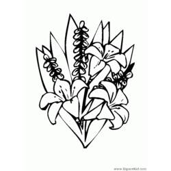 Dibujo para colorear: Ramo de flores (Naturaleza) #160891 - Dibujos para Colorear e Imprimir Gratis