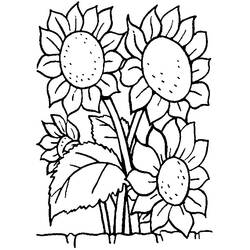 Dibujo para colorear: Ramo de flores (Naturaleza) #160964 - Dibujos para Colorear e Imprimir Gratis