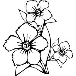 Dibujo para colorear: Ramo de flores (Naturaleza) #161003 - Dibujos para Colorear e Imprimir Gratis