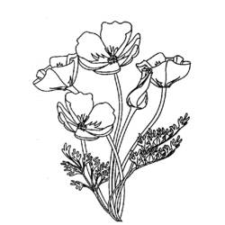 Dibujo para colorear: Ramo de flores (Naturaleza) #161045 - Dibujos para Colorear e Imprimir Gratis