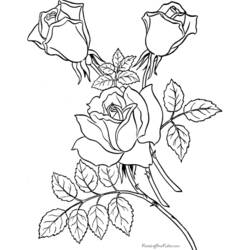 Dibujo para colorear: Ramo de flores (Naturaleza) #161085 - Dibujos para Colorear e Imprimir Gratis