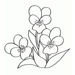 Dibujo para colorear: Ramo de flores (Naturaleza) #161093 - Dibujos para Colorear e Imprimir Gratis