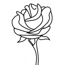 Dibujo para colorear: Rosas (Naturaleza) #161876 - Dibujos para Colorear e Imprimir Gratis