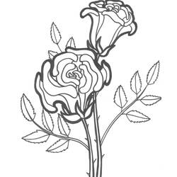 Dibujo para colorear: Rosas (Naturaleza) #161879 - Dibujos para Colorear e Imprimir Gratis