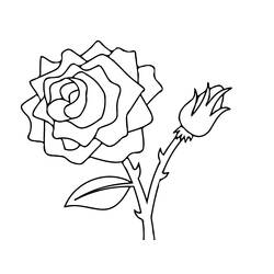 Dibujo para colorear: Rosas (Naturaleza) #161881 - Dibujos para Colorear e Imprimir Gratis
