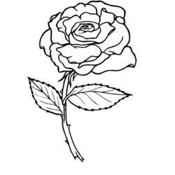 Dibujo para colorear: Rosas (Naturaleza) #161884 - Dibujos para Colorear e Imprimir Gratis