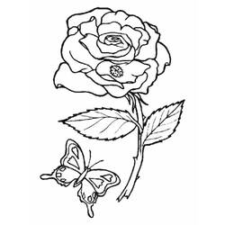 Dibujo para colorear: Rosas (Naturaleza) #161885 - Dibujos para Colorear e Imprimir Gratis