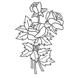 Dibujo para colorear: Rosas (Naturaleza) #161895 - Dibujos para Colorear e Imprimir Gratis