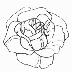 Dibujo para colorear: Rosas (Naturaleza) #161898 - Dibujos para Colorear e Imprimir Gratis