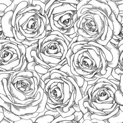 Dibujo para colorear: Rosas (Naturaleza) #161911 - Dibujos para Colorear e Imprimir Gratis
