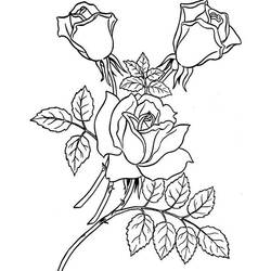 Dibujo para colorear: Rosas (Naturaleza) #161918 - Dibujos para Colorear e Imprimir Gratis