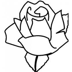 Dibujo para colorear: Rosas (Naturaleza) #161927 - Dibujos para Colorear e Imprimir Gratis