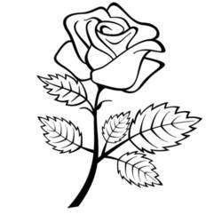 Dibujo para colorear: Rosas (Naturaleza) #161936 - Dibujos para Colorear e Imprimir Gratis