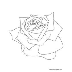 Dibujo para colorear: Rosas (Naturaleza) #161938 - Dibujos para Colorear e Imprimir Gratis