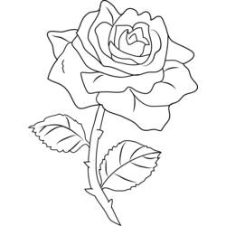 Dibujo para colorear: Rosas (Naturaleza) #161971 - Dibujos para Colorear e Imprimir Gratis