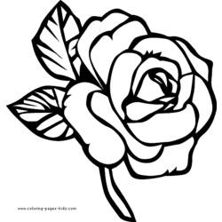 Dibujo para colorear: Rosas (Naturaleza) #162017 - Dibujos para Colorear e Imprimir Gratis