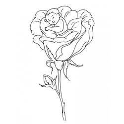 Dibujo para colorear: Rosas (Naturaleza) #162037 - Dibujos para Colorear e Imprimir Gratis