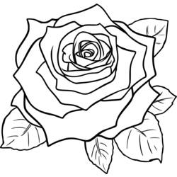 Dibujo para colorear: Rosas (Naturaleza) #162072 - Dibujos para Colorear e Imprimir Gratis