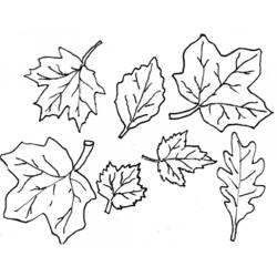 Dibujo para colorear: Temporada de Otoño (Naturaleza) #164059 - Dibujos para Colorear e Imprimir Gratis
