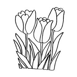 Dibujo para colorear: Tulipán (Naturaleza) #161613 - Dibujos para Colorear e Imprimir Gratis