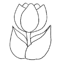 Dibujo para colorear: Tulipán (Naturaleza) #161621 - Dibujos para Colorear e Imprimir Gratis