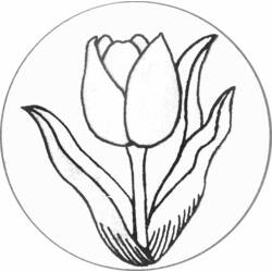 Dibujo para colorear: Tulipán (Naturaleza) #161622 - Dibujos para Colorear e Imprimir Gratis