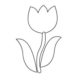 Dibujo para colorear: Tulipán (Naturaleza) #161625 - Dibujos para Colorear e Imprimir Gratis