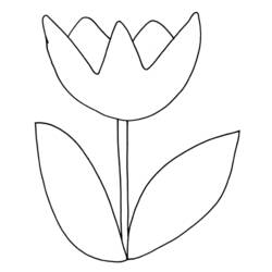 Dibujo para colorear: Tulipán (Naturaleza) #161628 - Dibujos para Colorear e Imprimir Gratis