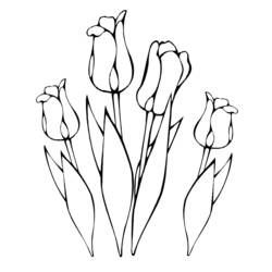 Dibujo para colorear: Tulipán (Naturaleza) #161632 - Dibujos para Colorear e Imprimir Gratis