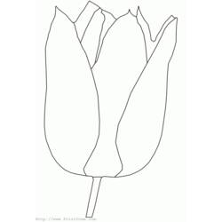 Dibujo para colorear: Tulipán (Naturaleza) #161633 - Dibujos para Colorear e Imprimir Gratis