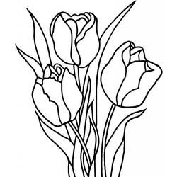 Dibujo para colorear: Tulipán (Naturaleza) #161634 - Dibujos para Colorear e Imprimir Gratis