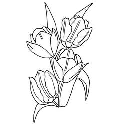 Dibujo para colorear: Tulipán (Naturaleza) #161636 - Dibujos para Colorear e Imprimir Gratis