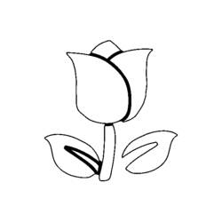 Dibujo para colorear: Tulipán (Naturaleza) #161638 - Dibujos para Colorear e Imprimir Gratis