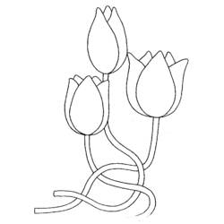 Dibujo para colorear: Tulipán (Naturaleza) #161639 - Dibujos para Colorear e Imprimir Gratis