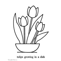 Dibujo para colorear: Tulipán (Naturaleza) #161646 - Dibujos para Colorear e Imprimir Gratis