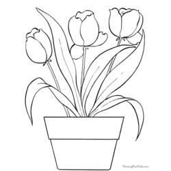 Dibujo para colorear: Tulipán (Naturaleza) #161661 - Dibujos para Colorear e Imprimir Gratis