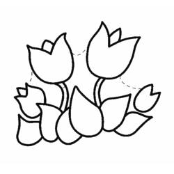 Dibujo para colorear: Tulipán (Naturaleza) #161676 - Dibujos para Colorear e Imprimir Gratis