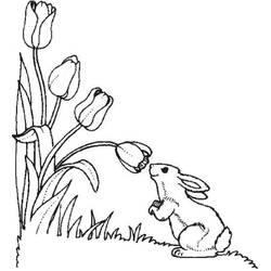 Dibujo para colorear: Tulipán (Naturaleza) #161693 - Dibujos para Colorear e Imprimir Gratis
