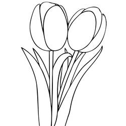 Dibujo para colorear: Tulipán (Naturaleza) #161700 - Dibujos para Colorear e Imprimir Gratis