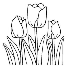 Dibujo para colorear: Tulipán (Naturaleza) #161701 - Dibujos para Colorear e Imprimir Gratis