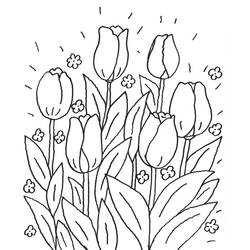 Dibujo para colorear: Tulipán (Naturaleza) #161702 - Dibujos para Colorear e Imprimir Gratis