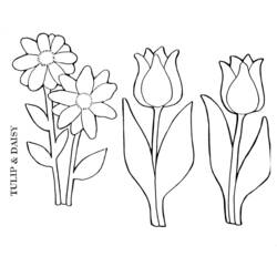Dibujo para colorear: Tulipán (Naturaleza) #161704 - Dibujos para Colorear e Imprimir Gratis