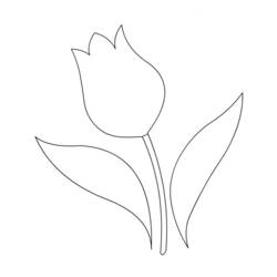 Dibujo para colorear: Tulipán (Naturaleza) #161710 - Dibujos para Colorear e Imprimir Gratis