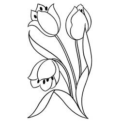 Dibujo para colorear: Tulipán (Naturaleza) #161748 - Dibujos para Colorear e Imprimir Gratis