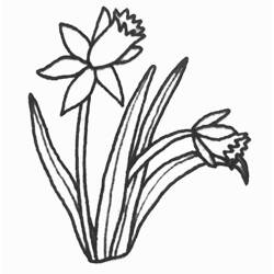 Dibujo para colorear: Tulipán (Naturaleza) #161759 - Dibujos para Colorear e Imprimir Gratis