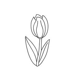 Dibujo para colorear: Tulipán (Naturaleza) #161767 - Dibujos para Colorear e Imprimir Gratis