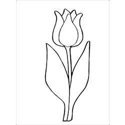 Dibujo para colorear: Tulipán (Naturaleza) #161791 - Dibujos para Colorear e Imprimir Gratis