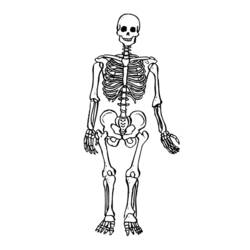 Dibujo para colorear: Esqueleto (Personajes) #147415 - Dibujos para Colorear e Imprimir Gratis