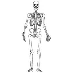 Dibujo para colorear: Esqueleto (Personajes) #147444 - Dibujos para Colorear e Imprimir Gratis